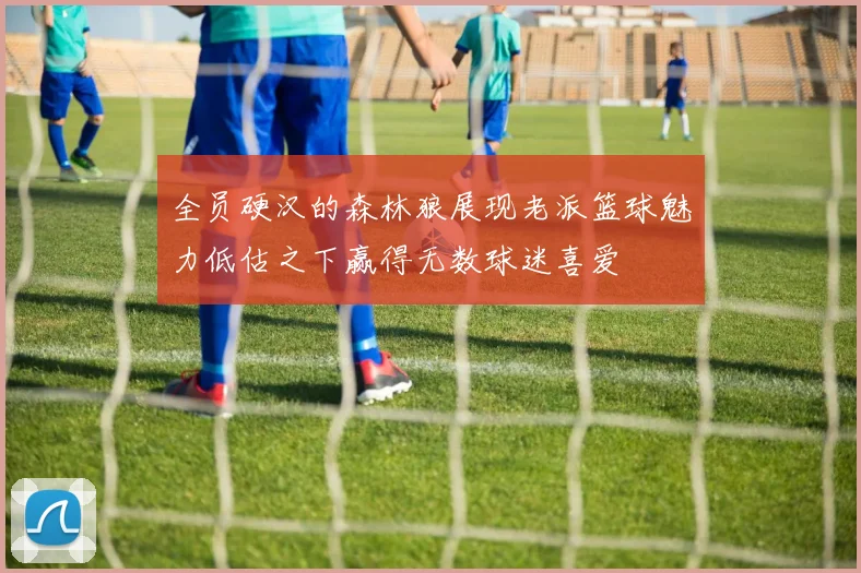 全员硬汉的森林狼展现老派篮球魅力低估之下赢得无数球迷喜爱